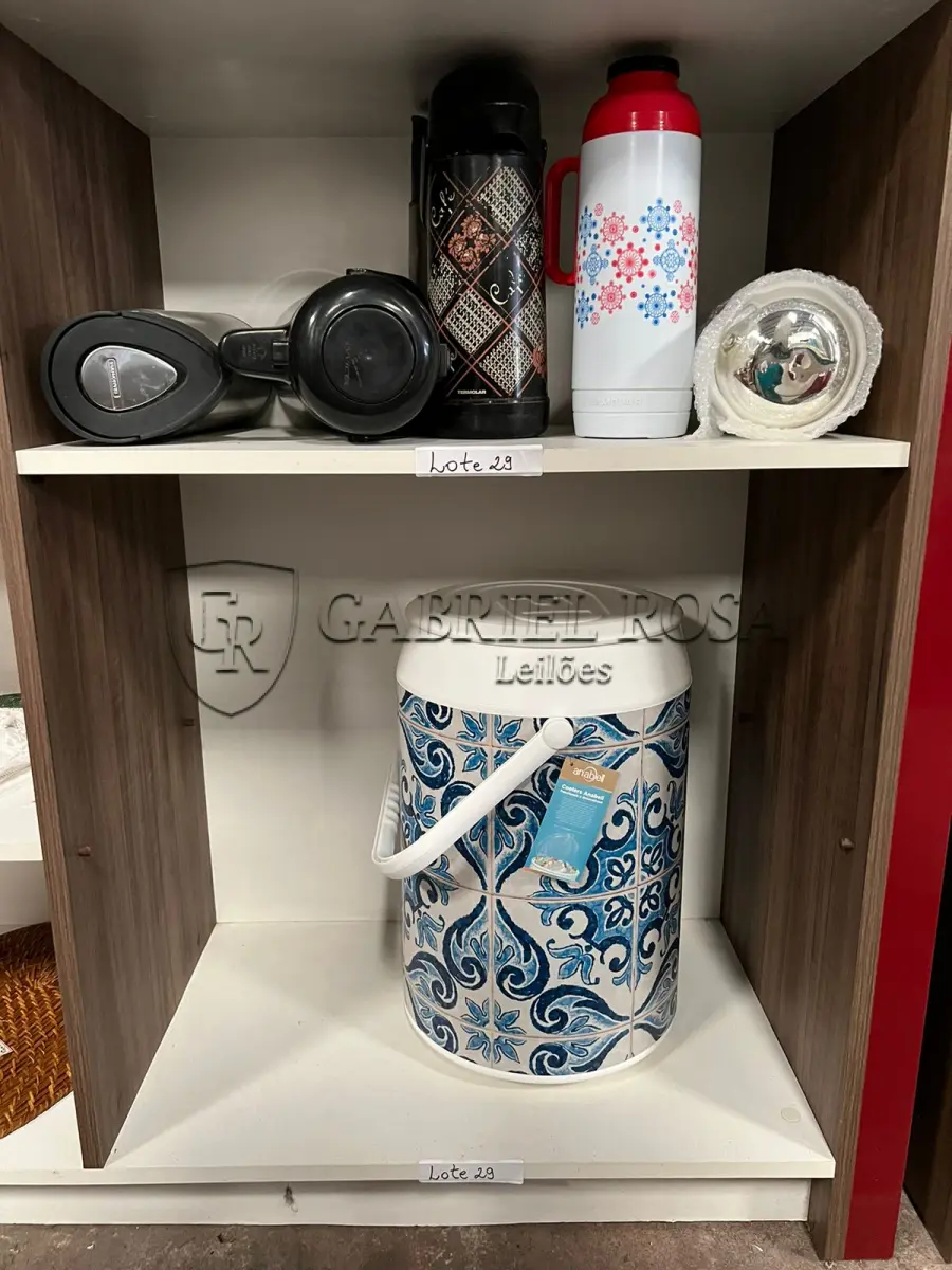 LOTE 029 - Produtos Térmicos