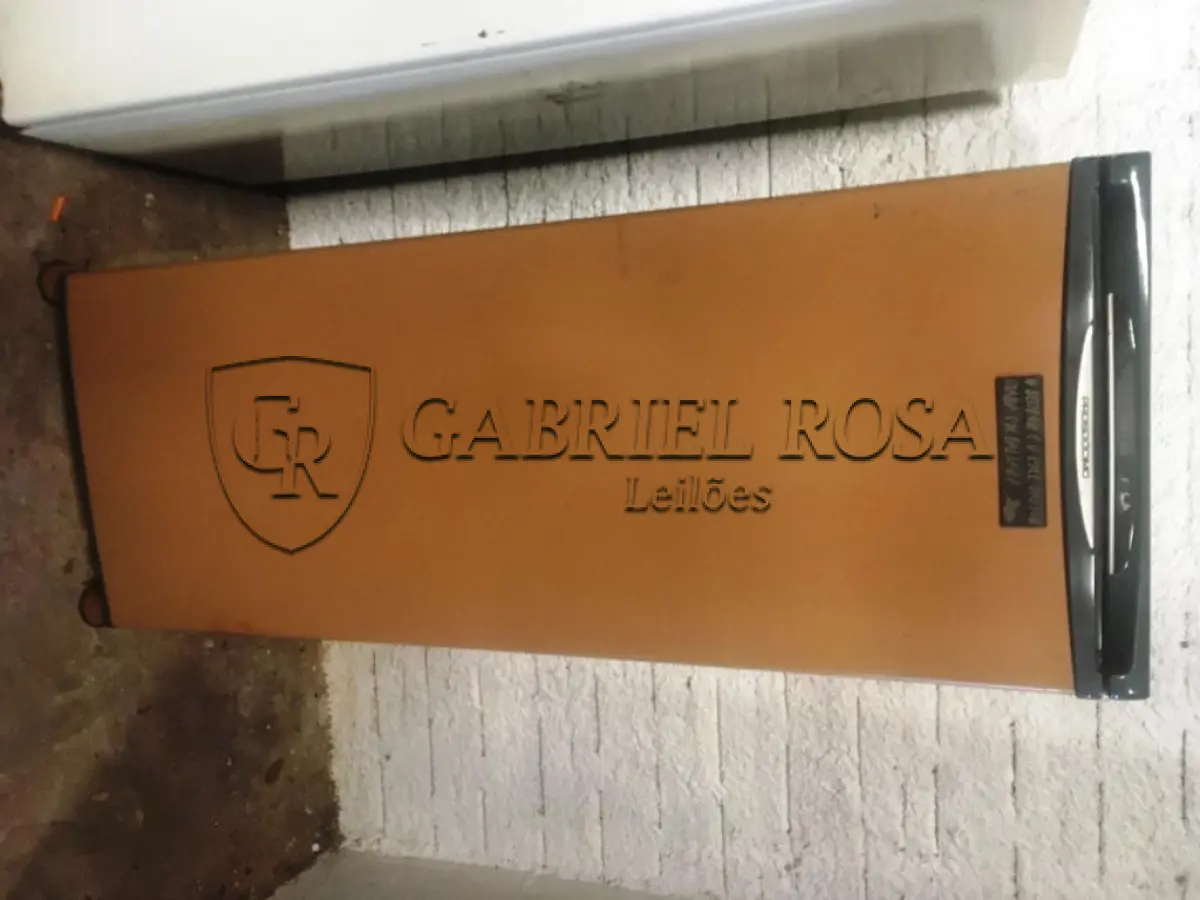 LOTE 019 - Eletro doméstico ( Freezer )