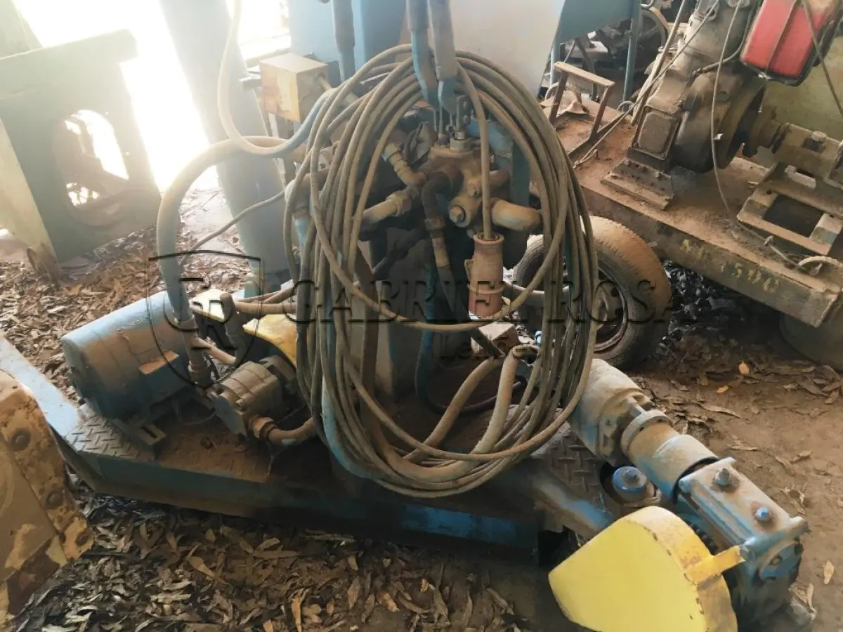 LOTE 022 - GIRAFA HIDRÁULICA