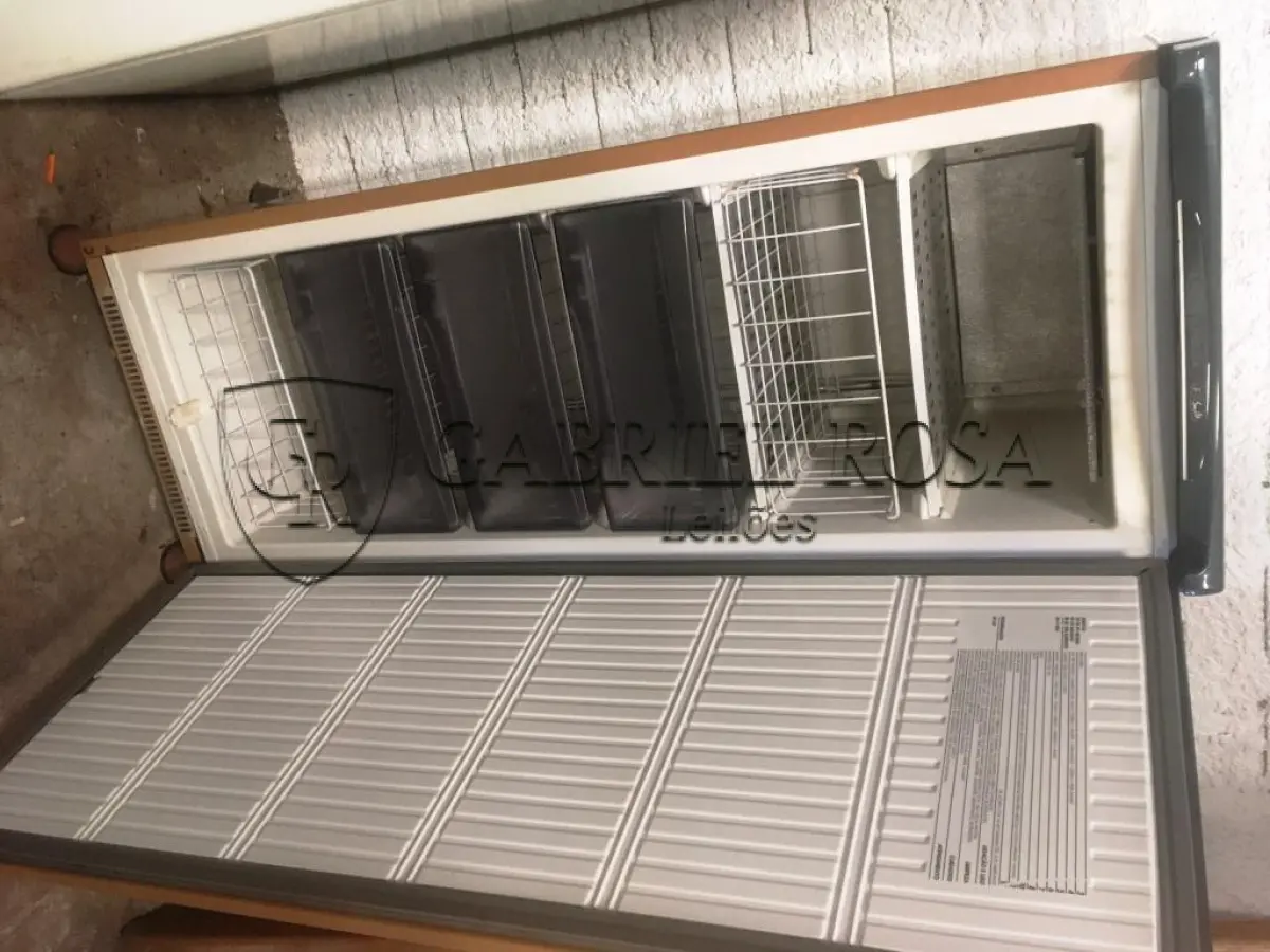 LOTE 019 - Eletro doméstico ( Freezer )