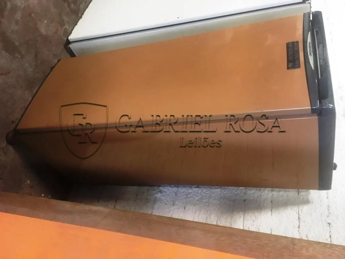 LOTE 019 - Eletro doméstico ( Freezer )
