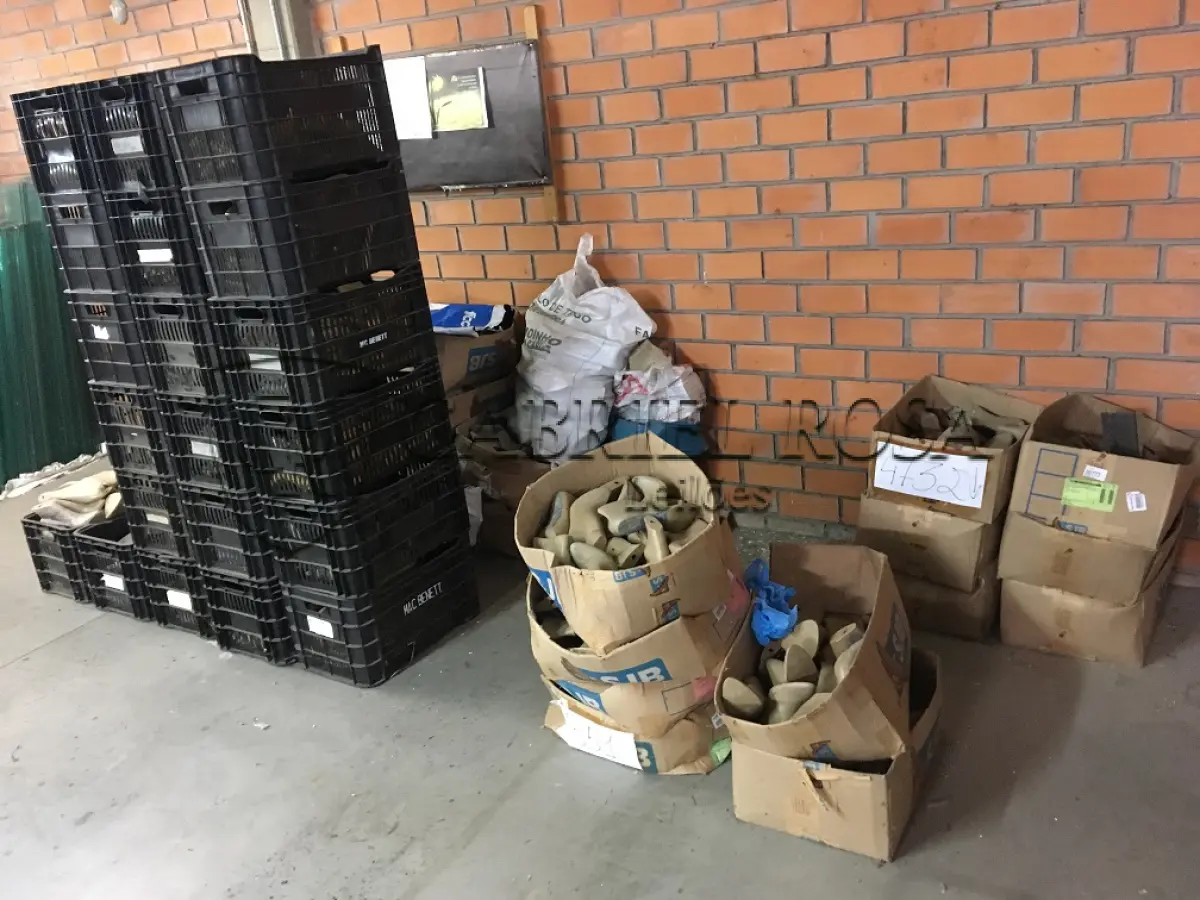 LOTE 165 - Sucata de formas