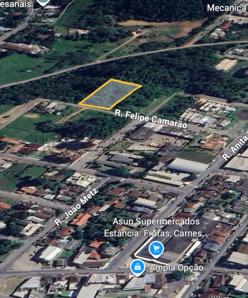 LOTE 007