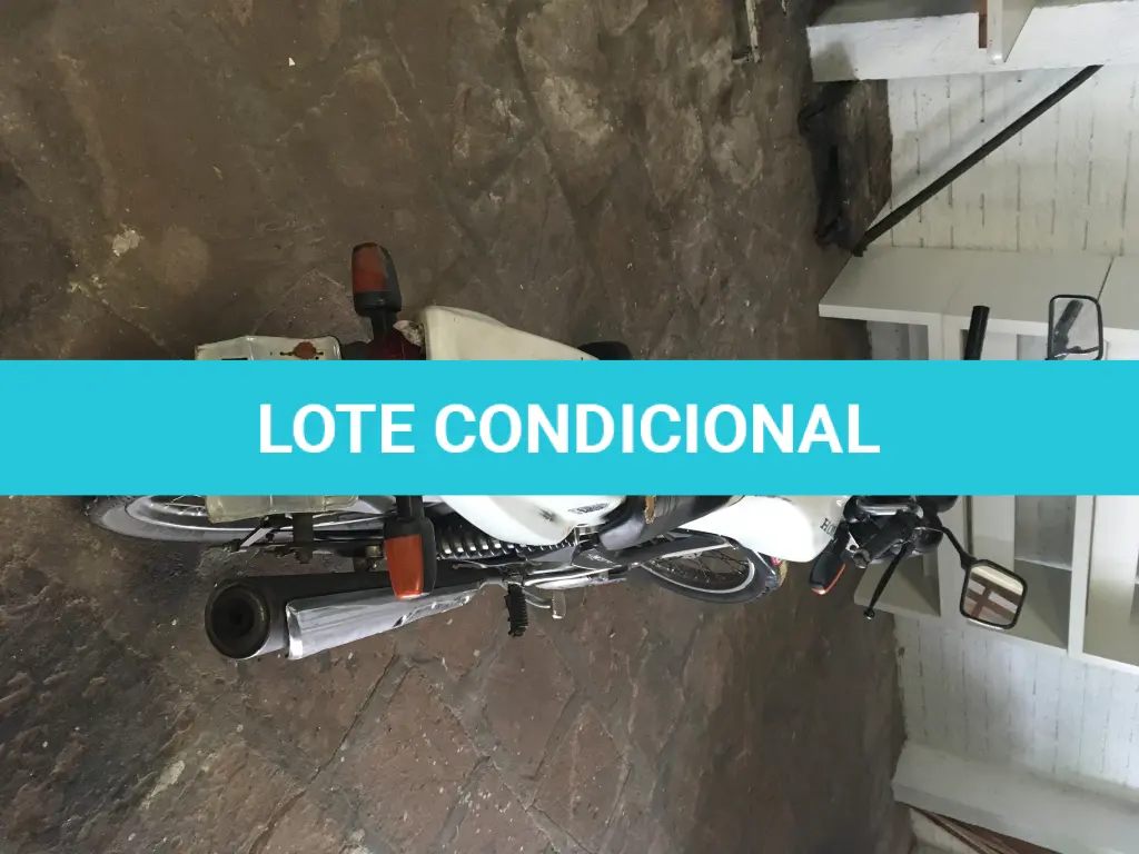 LOTE 001