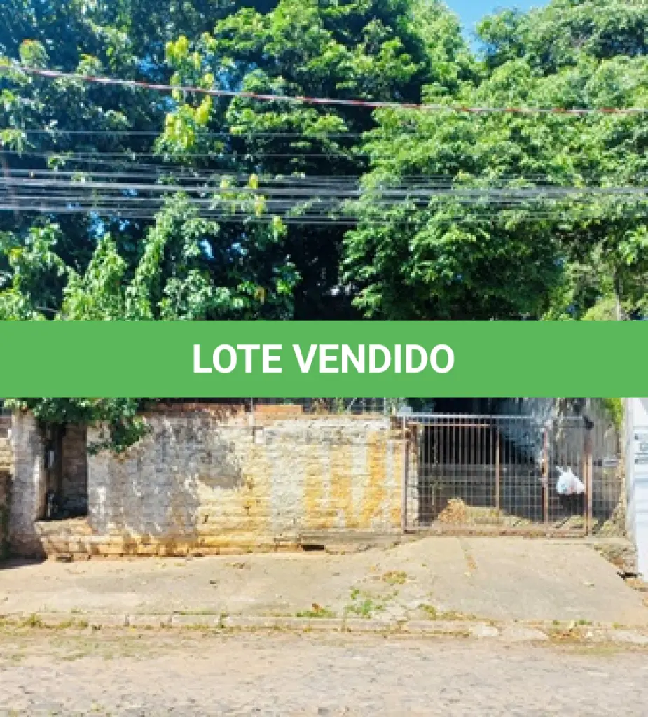 LOTE 011