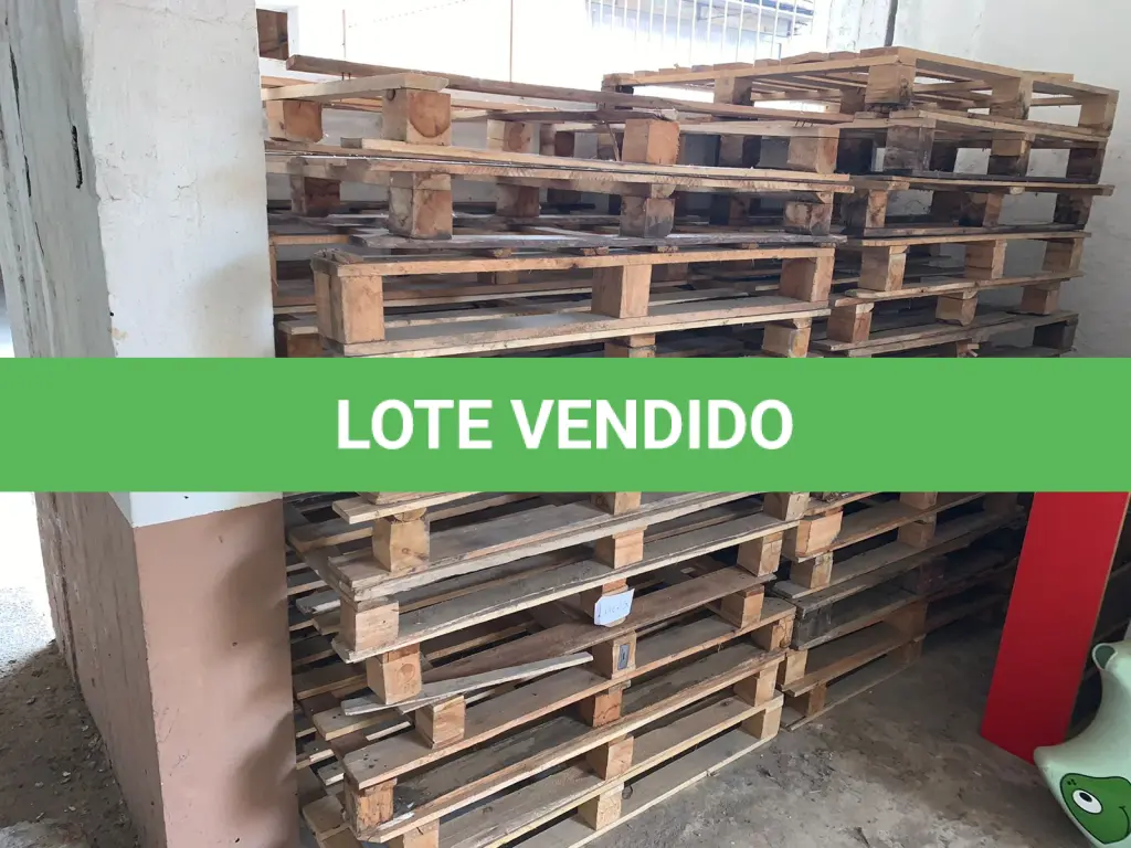 LOTE 230