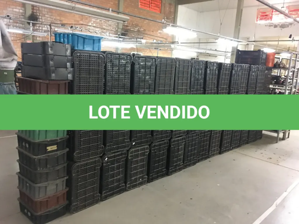 LOTE 137