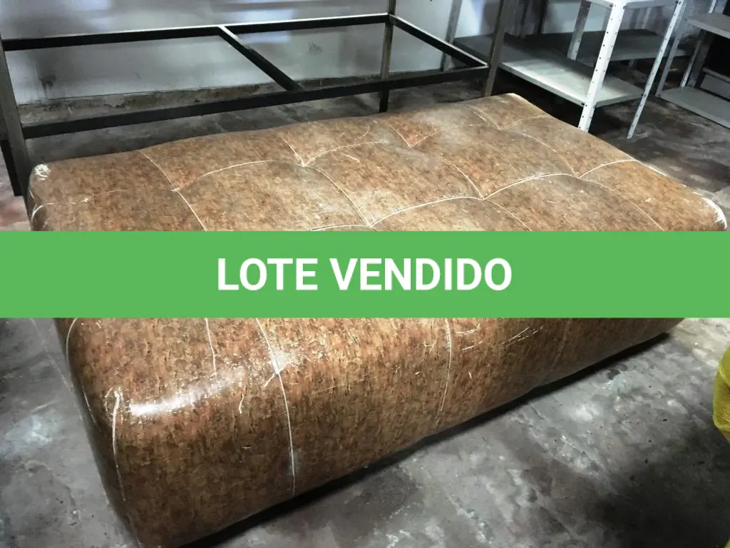 LOTE 046