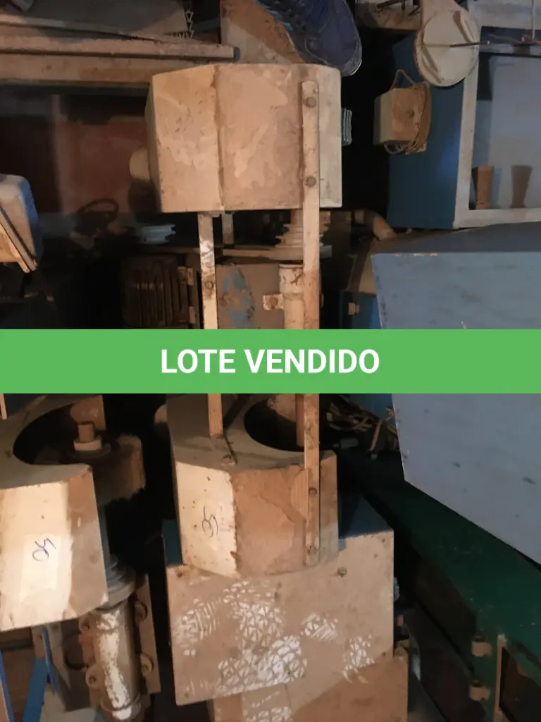 LOTE 100