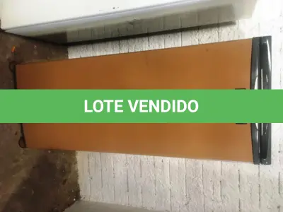 LOTE 019 - Eletro doméstico ( Freezer )