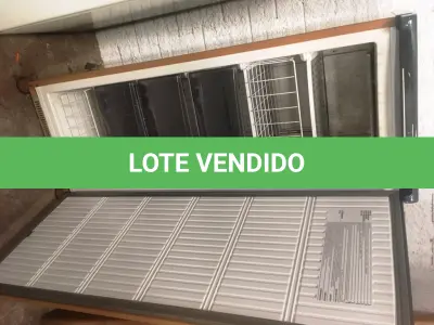 LOTE 019 - Eletro doméstico ( Freezer )
