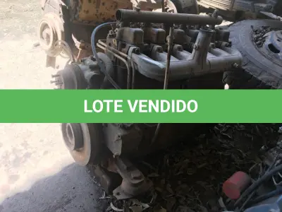 LOTE 028 - MOTOR MWW DIESEL 229.6 (FE 105)