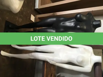 LOTE 008 - Cabides(699 un), Manequins(74 un) e outros