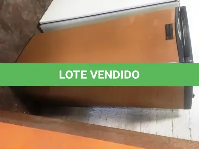 LOTE 019 - Eletro doméstico ( Freezer )