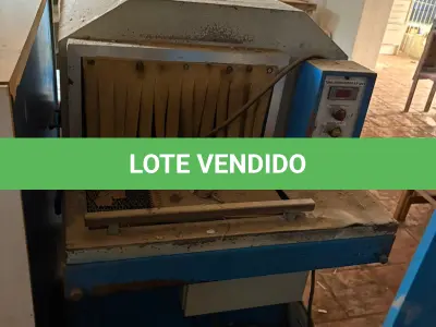 LOTE 107 - Estufa industrial