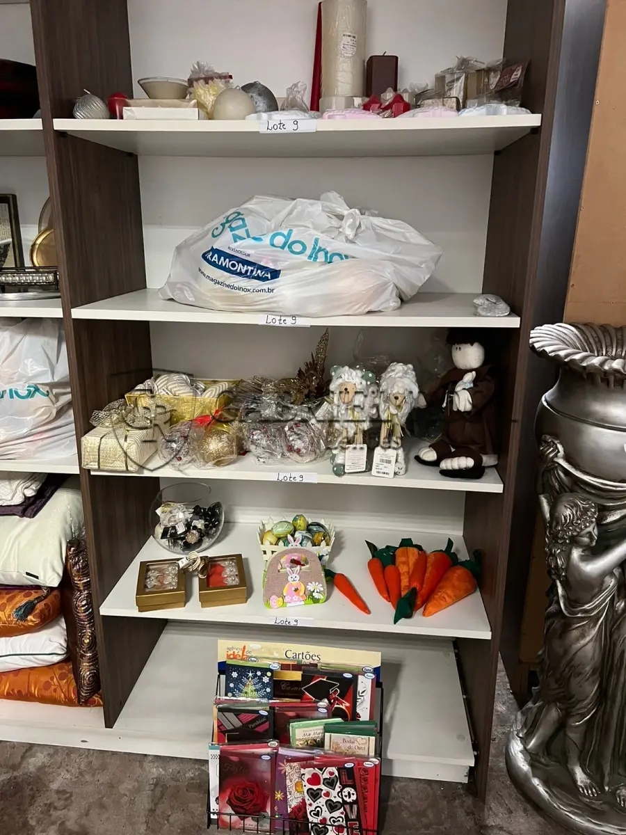 LOTE 009 - Decorações, entre outros