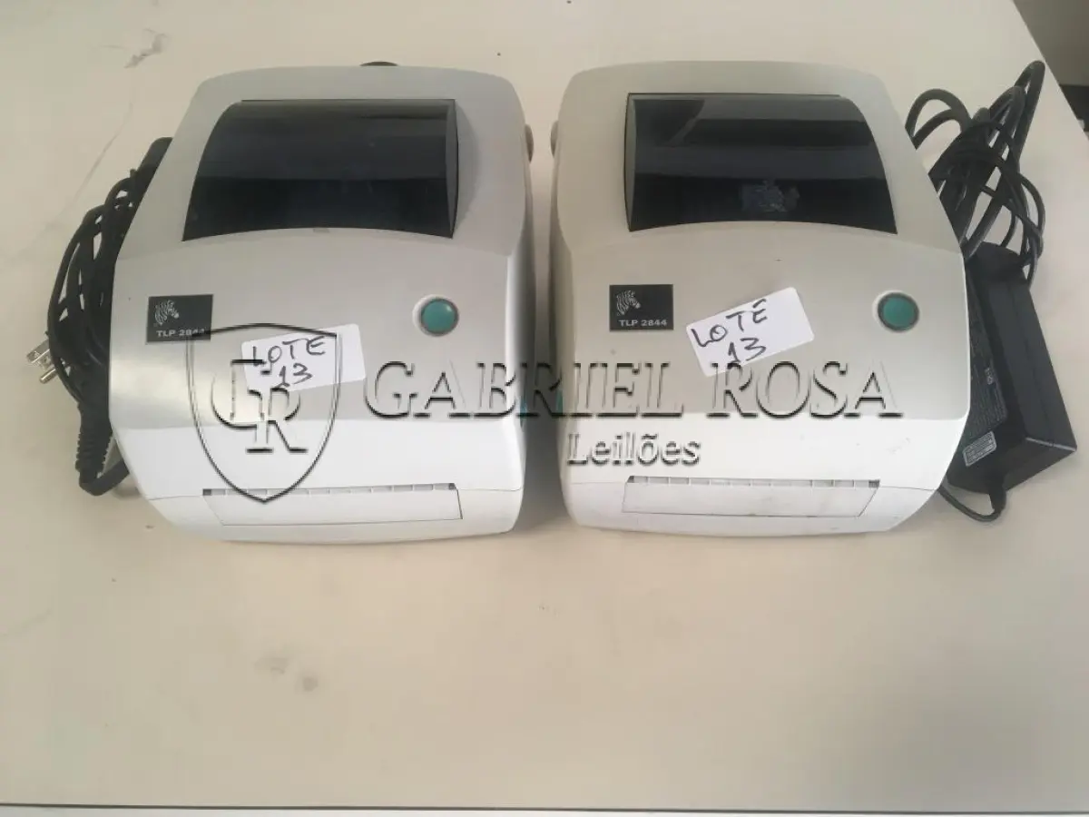 LOTE 013 - 02 Un - Impressora de etiquetas TLP2844 Zebra