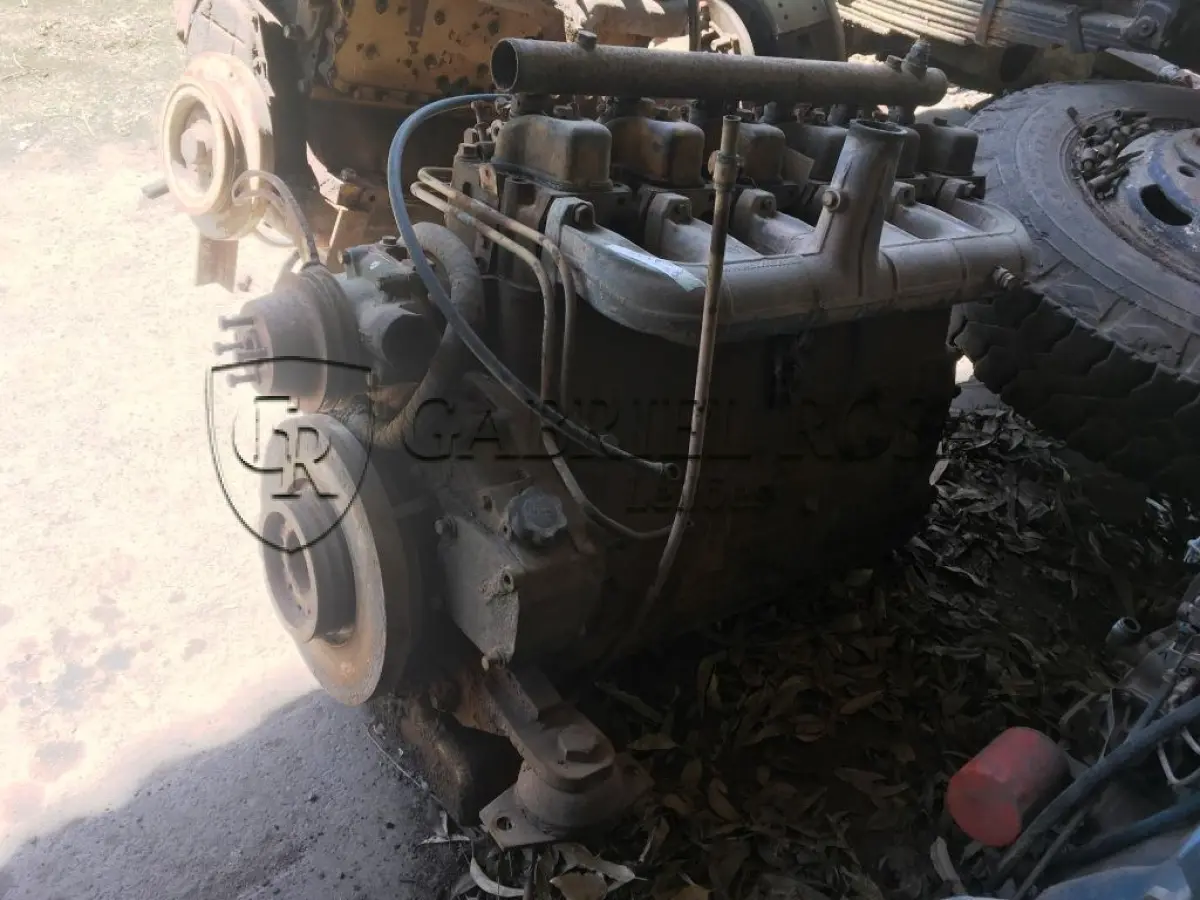 LOTE 028 - MOTOR MWW DIESEL 229.6 (FE 105)