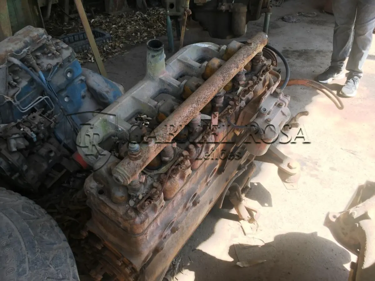 LOTE 028 - MOTOR MWW DIESEL 229.6 (FE 105)