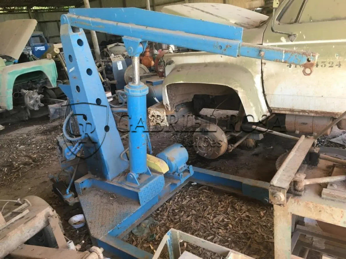 LOTE 022 - GIRAFA HIDRÁULICA