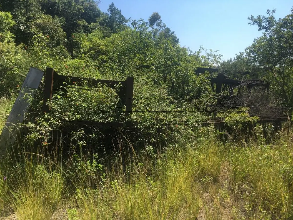 LOTE 002 - GUINDASTE BUCYRUS