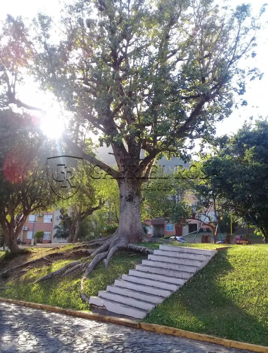 LOTE 003 - Apartamento nº 302, Edifício Carvalho, Bloco 11 do Conjunto Residencial Floresta Negra, localizado no 3º pavimento, com área real de uso privativo de 65,10 m², situado na Rua Coronel Apolinário de Moraes, nº 1215, Bairro Bela Vista, Montenegro/RS. Registrado sob matrícula nº 24.469