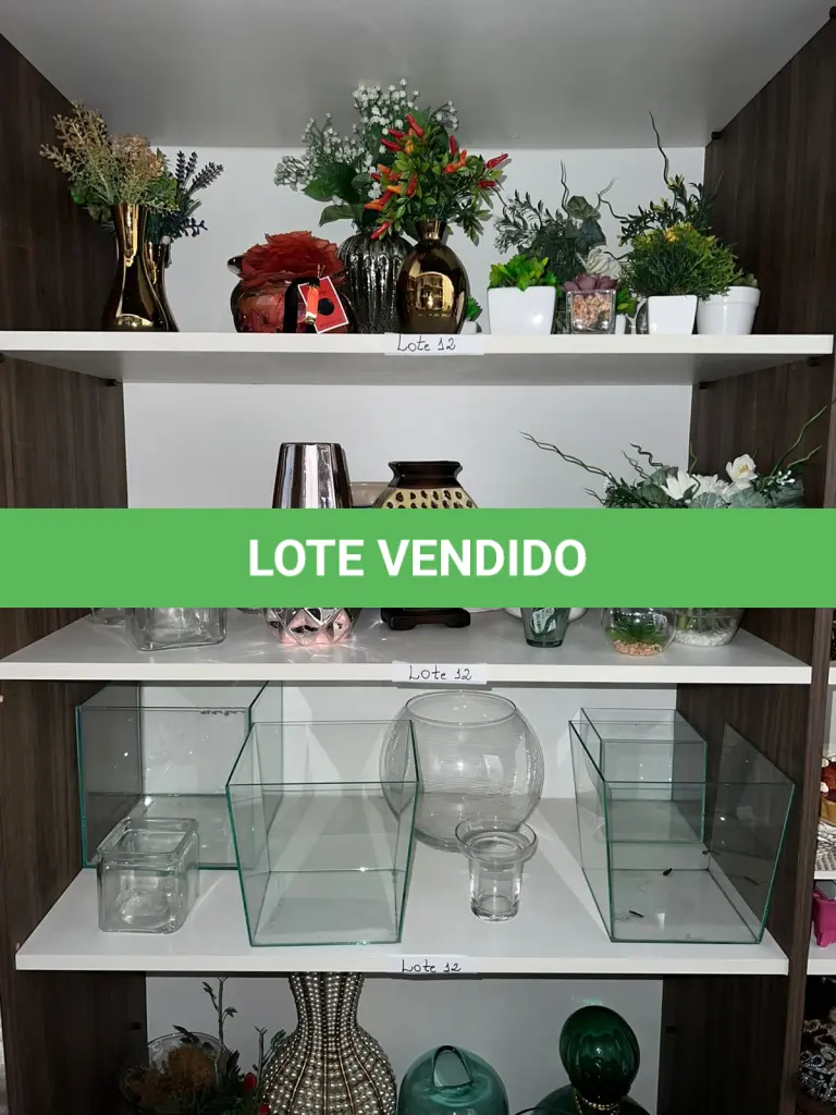 LOTE 012