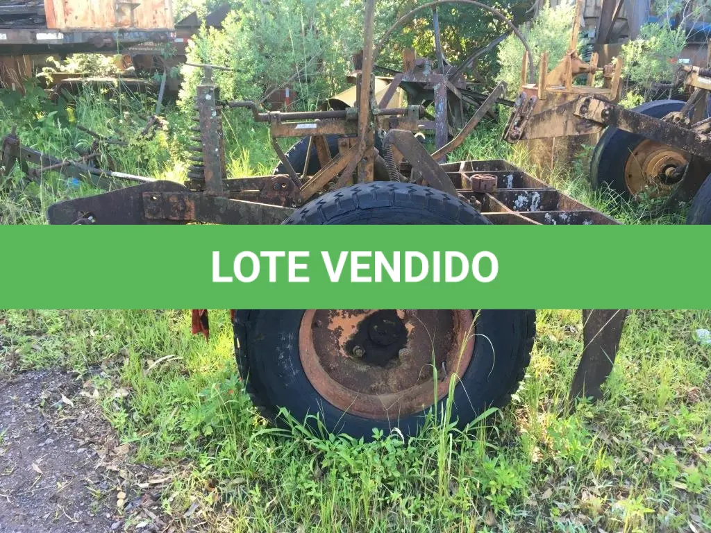 LOTE 019