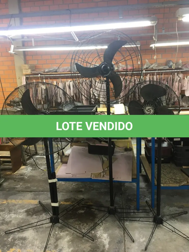 LOTE 154