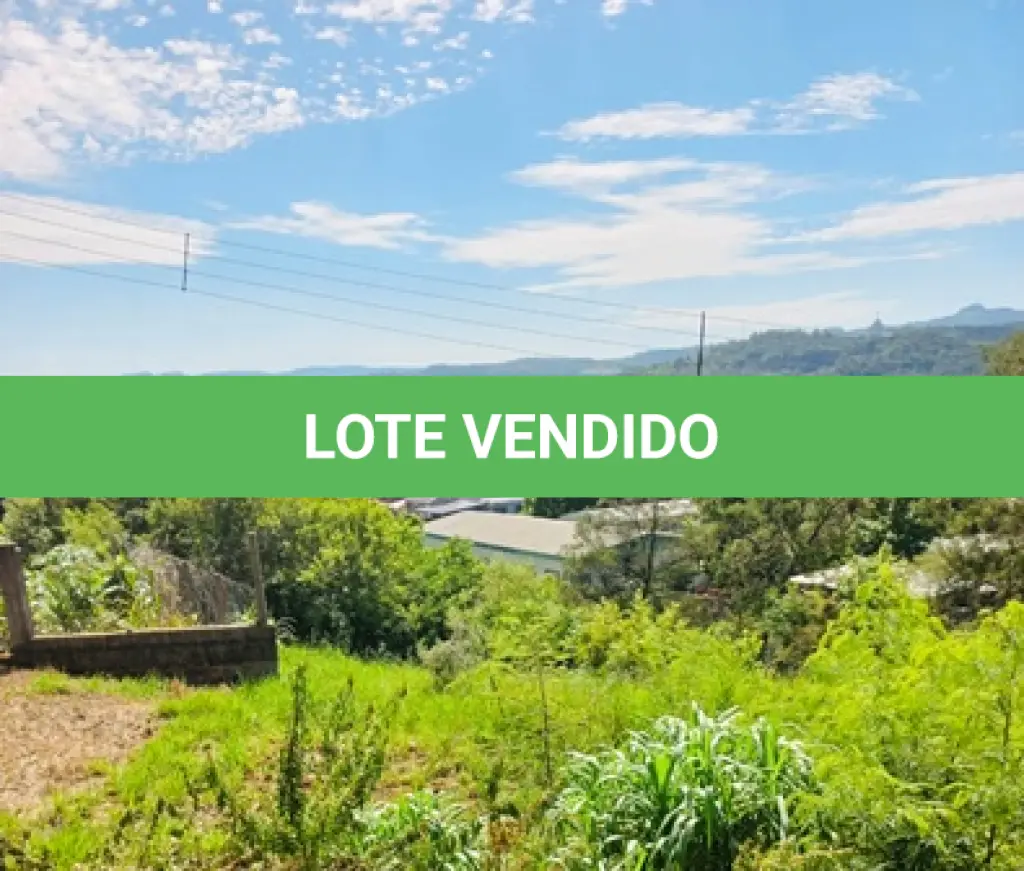LOTE 010