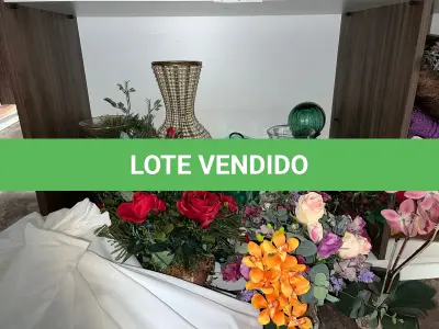 LOTE 012 - Flores