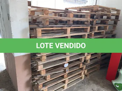 LOTE 230 - Paletes de madeira