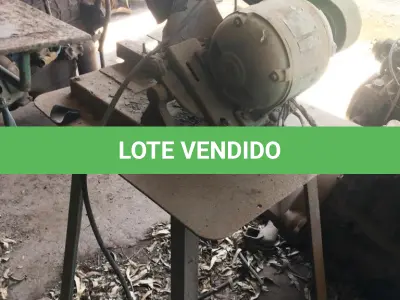 LOTE 043 - CORTE DE FERRO