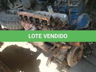 LOTE 028 - MOTOR MWW DIESEL 229.6 (FE 105)