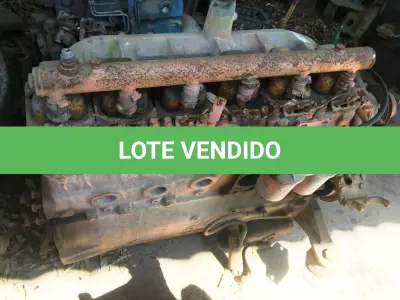 LOTE 028 - MOTOR MWW DIESEL 229.6 (FE 105)