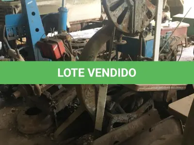 LOTE 026 - SERRA FITA
