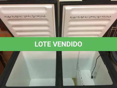 LOTE 148 - Eletro doméstico( Freezer )