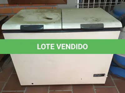 LOTE 148 - Eletro doméstico( Freezer )