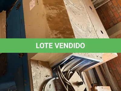 LOTE 107 - Estufa industrial