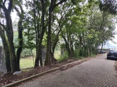 LOTE 007 - UM TERRENO SEM BENFEITORIAS, NO MORRO MARTIN COM ÁREA DE 2.474,525M2, NA CIDADE DE SÃO SEBASTIÃO DO CAÍ