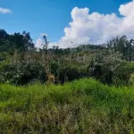 LOTE 001 - UM TERRENO SITUADO EM ESTÂNCIA VELHA, DIVIDINDO AO NORTE COM A RUA VIDAL DE NEGREIROS, AO SUL COM RUA FELIPE CAMARÃO, AO LESTE COM JOÃO HAROLD METZ E A OESTE COM WILLIBALDO BRANDT.