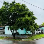 LOTE 005 - UM TERRENO COM A ÁREA DE 294,00M2, SITUADO EM ESTÂNCIA VELHA, CONSTITUÍDO PELO LOTE Nº 08 DA QUADRA 7 DO LOTEAMENTO CAMPO GRANDE