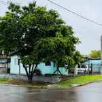 LOTE 005 - UM TERRENO COM A ÁREA DE 294,00M2, SITUADO EM ESTÂNCIA VELHA, CONSTITUÍDO PELO LOTE Nº 08 DA QUADRA 7 DO LOTEAMENTO CAMPO GRANDE