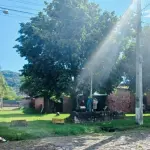 LOTE 014 - UM TERRENO SITUADO NO BAIRRO DAS ROSAS EM ESTÂNCIA VELHA, COMPOSTO DO LOTE Nº 12 DA QUADRA A, DO LOTEAMENTO VON MÜHLEN, COM A ÁREA DE 386,76M2