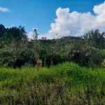 LOTE 001 - UM TERRENO SITUADO EM ESTÂNCIA VELHA, DIVIDINDO AO NORTE COM A RUA VIDAL DE NEGREIROS, AO SUL COM RUA FELIPE CAMARÃO, AO LESTE COM JOÃO HAROLD METZ E A OESTE COM WILLIBALDO BRANDT.