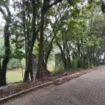 LOTE 004 - UM TERRENO SEM BENFEITORIAS, NO MORRO MARTIN COM ÁREA DE 2.474,525M2, NA CIDADE DE SÃO SEBASTIÃO DO CAÍ