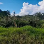 LOTE 001 - UM TERRENO SITUADO EM ESTÂNCIA VELHA, DIVIDINDO AO NORTE COM A RUA VIDAL DE NEGREIROS, AO SUL COM RUA FELIPE CAMARÃO, AO LESTE COM JOÃO HAROLD METZ E A OESTE COM WILLIBALDO BRANDT.