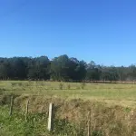 LOTE 002 - Uma área de terras, com a área superficial de 110.830,00 M², localizada no lugar demoninado Beco Soares, nº 100, Bairro Fazenda Leão, Sapiranga/RS - Matrícula 18.237