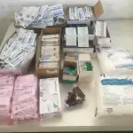LOTE 009 - Agulhas, Tubos, Seringas, Luvas entre outros