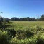LOTE 002 - Uma área de terras, com a área superficial de 110.830,00 M², localizada no lugar demoninado Beco Soares, nº 100, Bairro Fazenda Leão, Sapiranga/RS - Matrícula 18.237